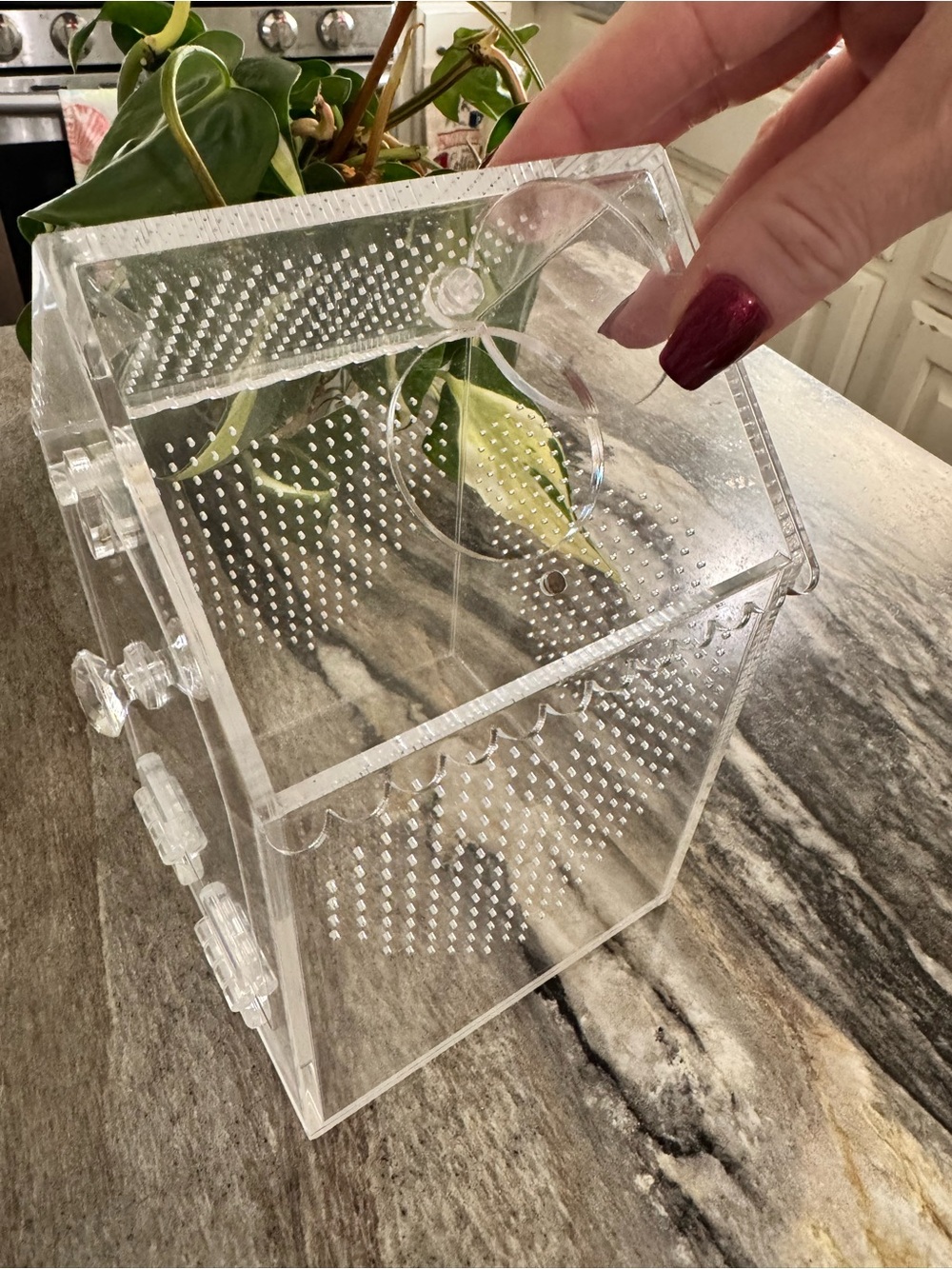Clear Acrylic House-Shaped small pet enclosure - Picture 7 of 9